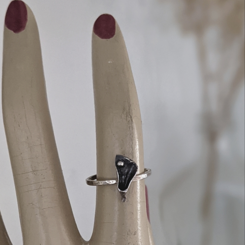 One of a Kind Hand Forged Silver Ring